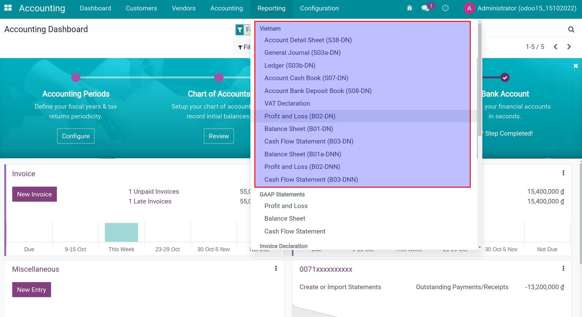 Default template financial reports for Vietnam
