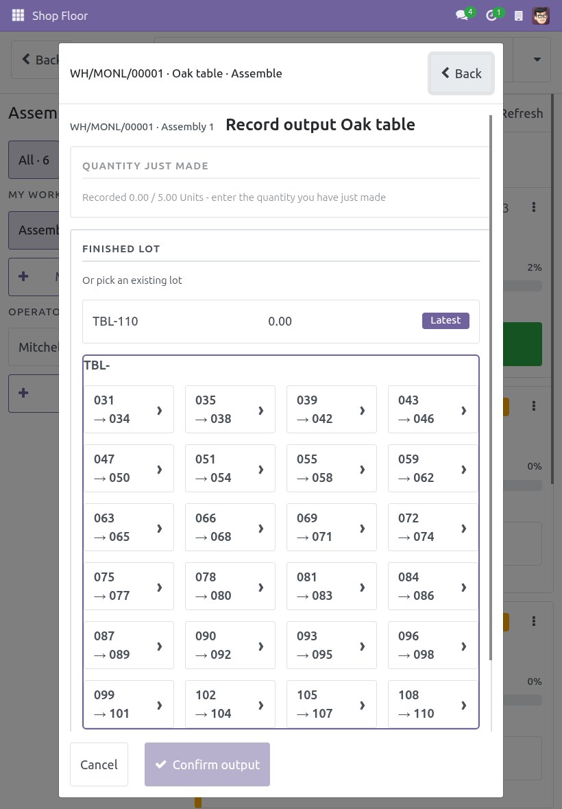 Record output screen without the Auto-generate lot button