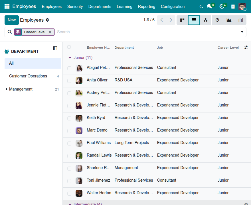 The employee list grouped by career level