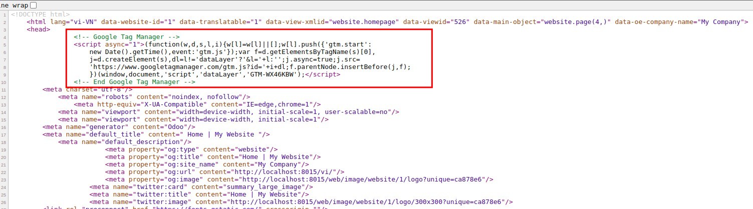 Code of Google Tag Manager on the Website