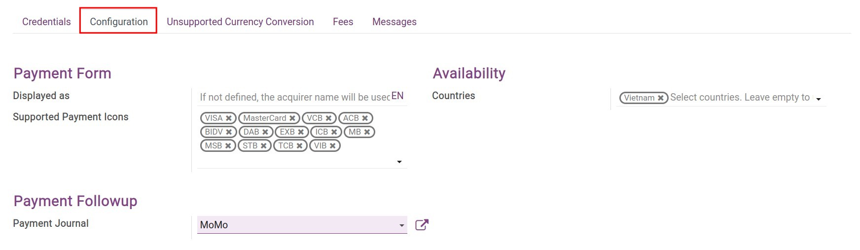 Payment service provider configuration tab  - Viindoo Accounting