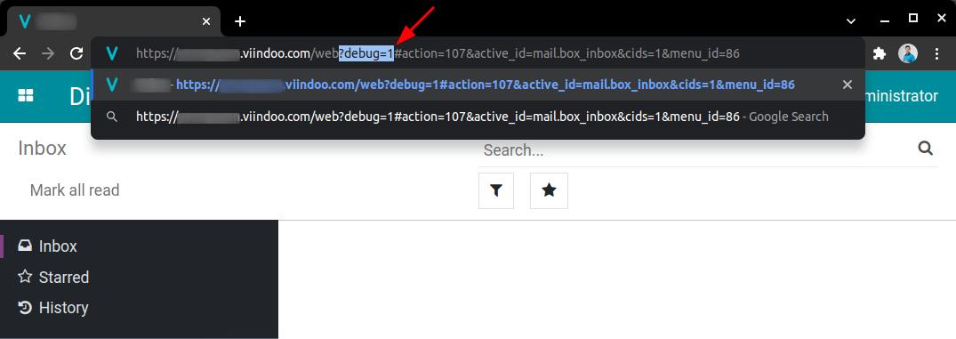 Enable Viindoo developer mode via URL