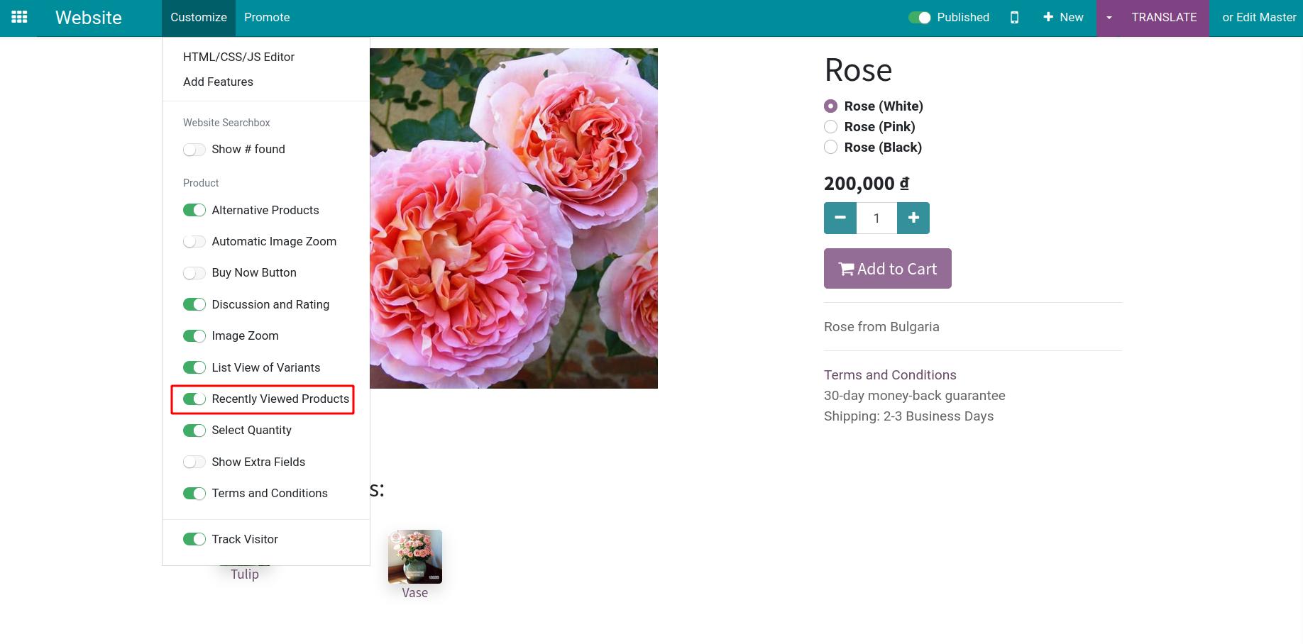 Recently viewed products feature.