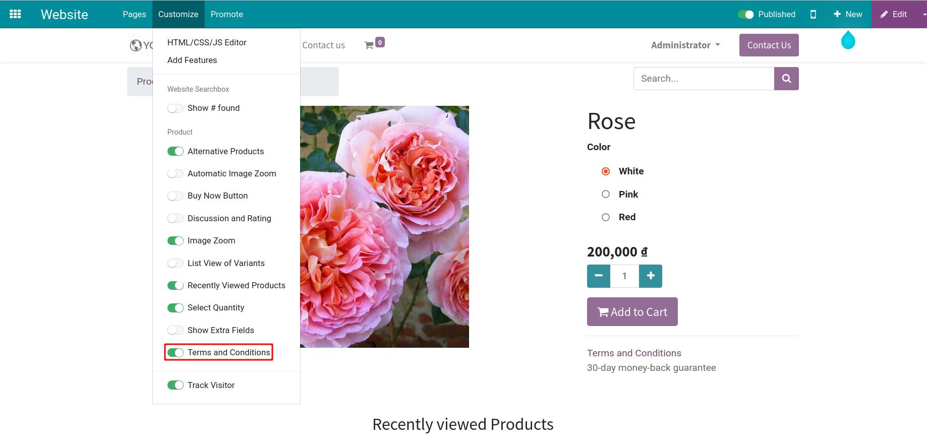 Terms and Conditions Feature