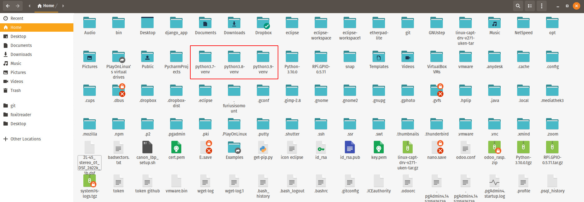 Cài đặt python-venv