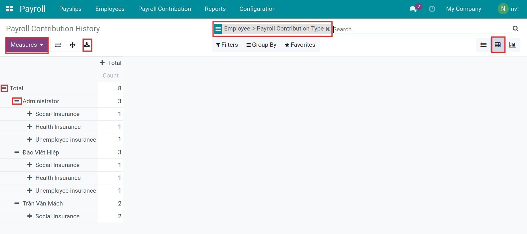 Payroll contribution history in pivot view - Viindoo Payroll accounting app