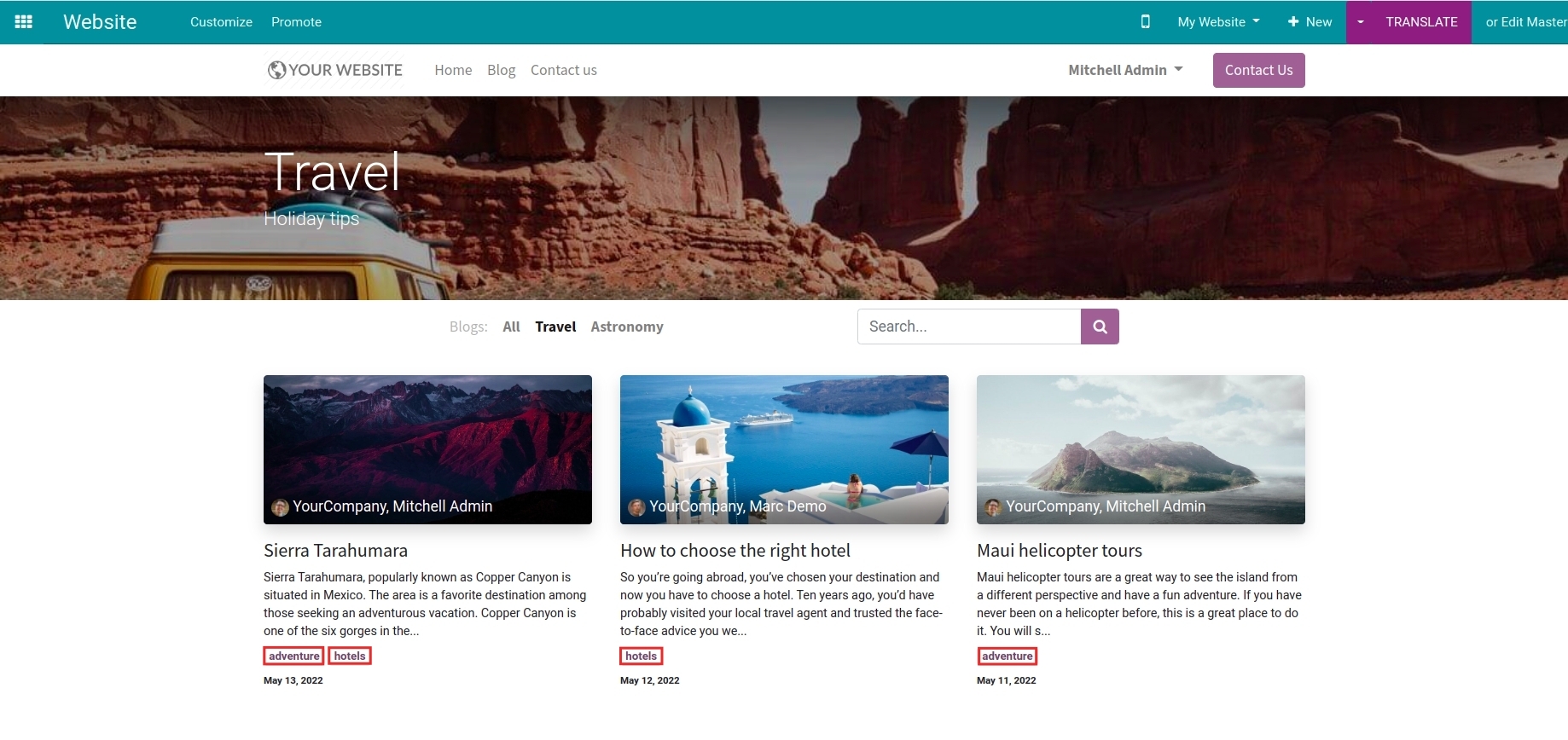 blog tags on the website in Viindoo