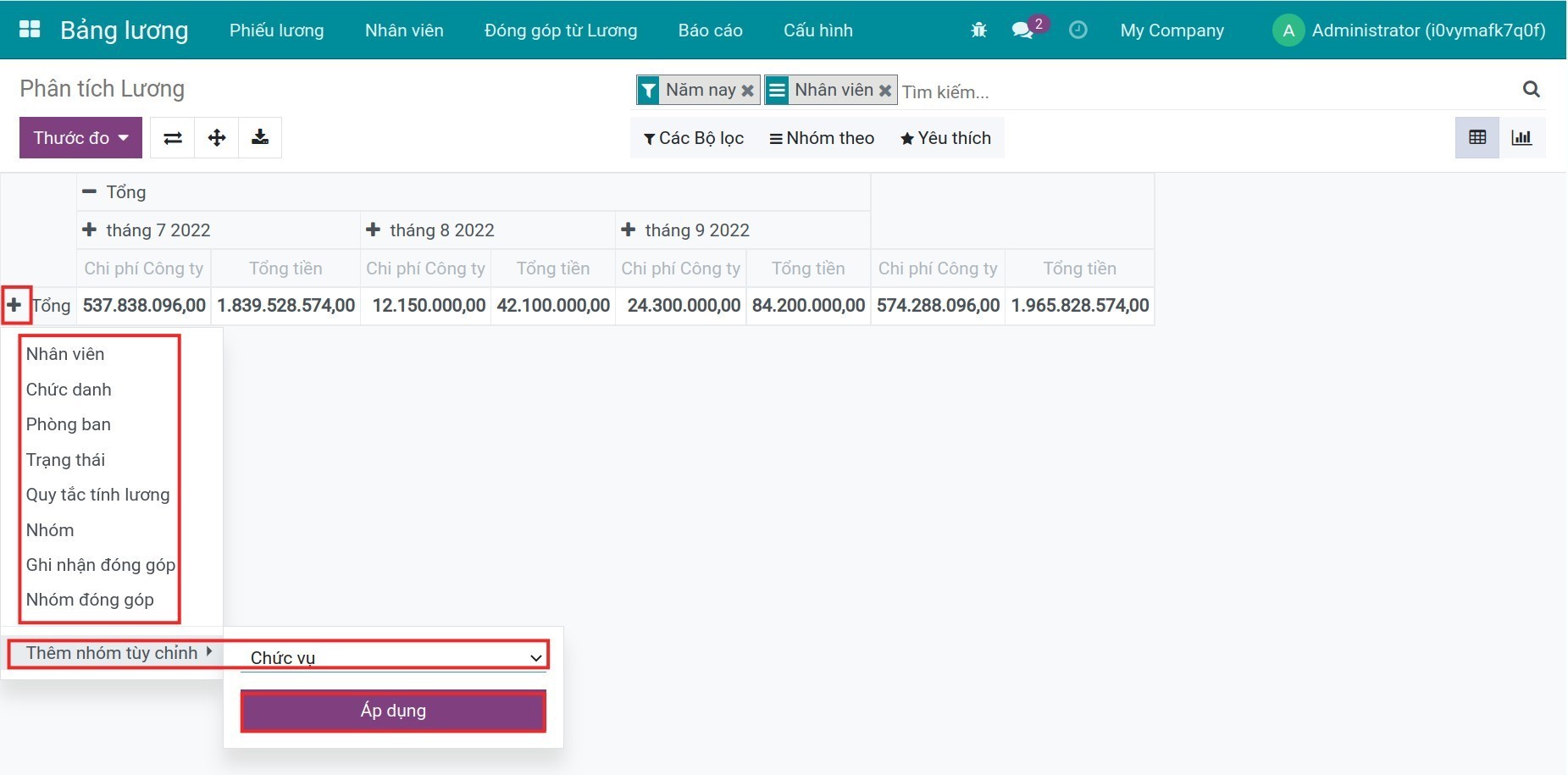 Lồng ghép tiêu chí báo cáo - Phần mềm quản lý tiền lương Viindoo