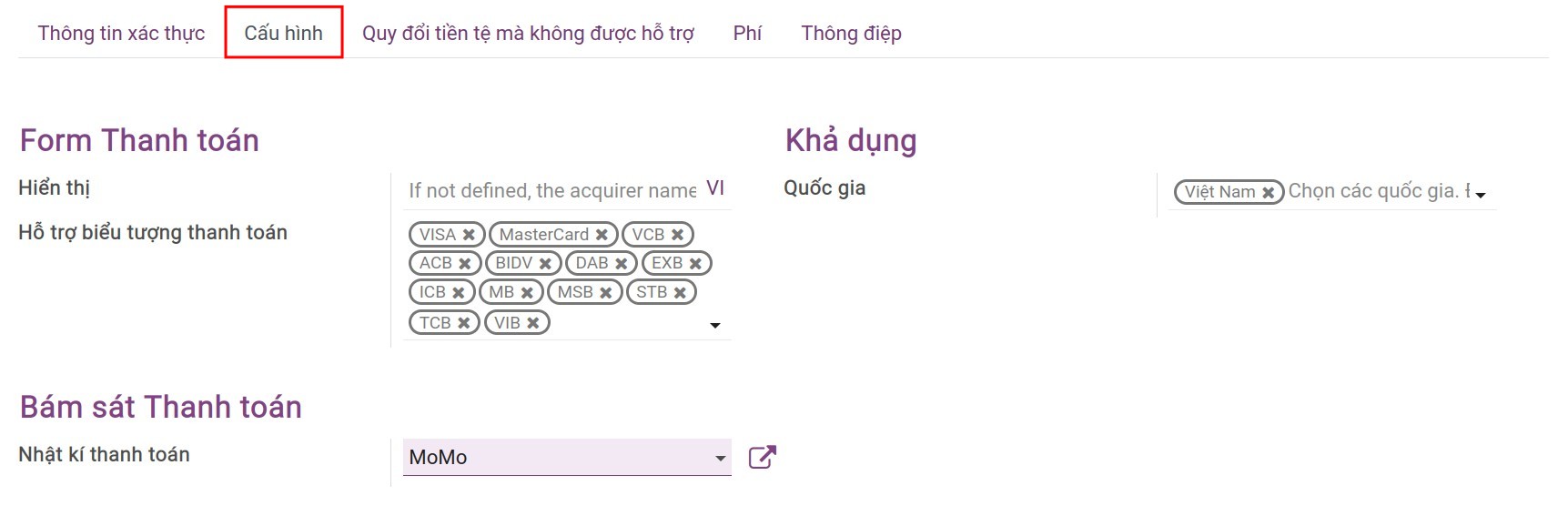 Tab Cấu hình nhà cung cấp dịch vụ thanh toán - Viindoo Accounting