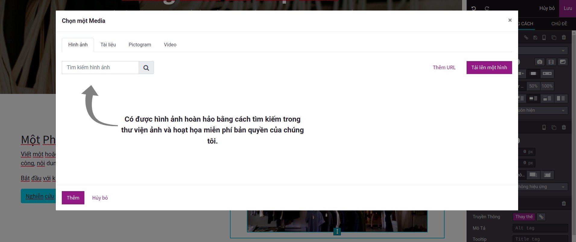 Tìm kiếm hình ảnh trong ứng dụng Website