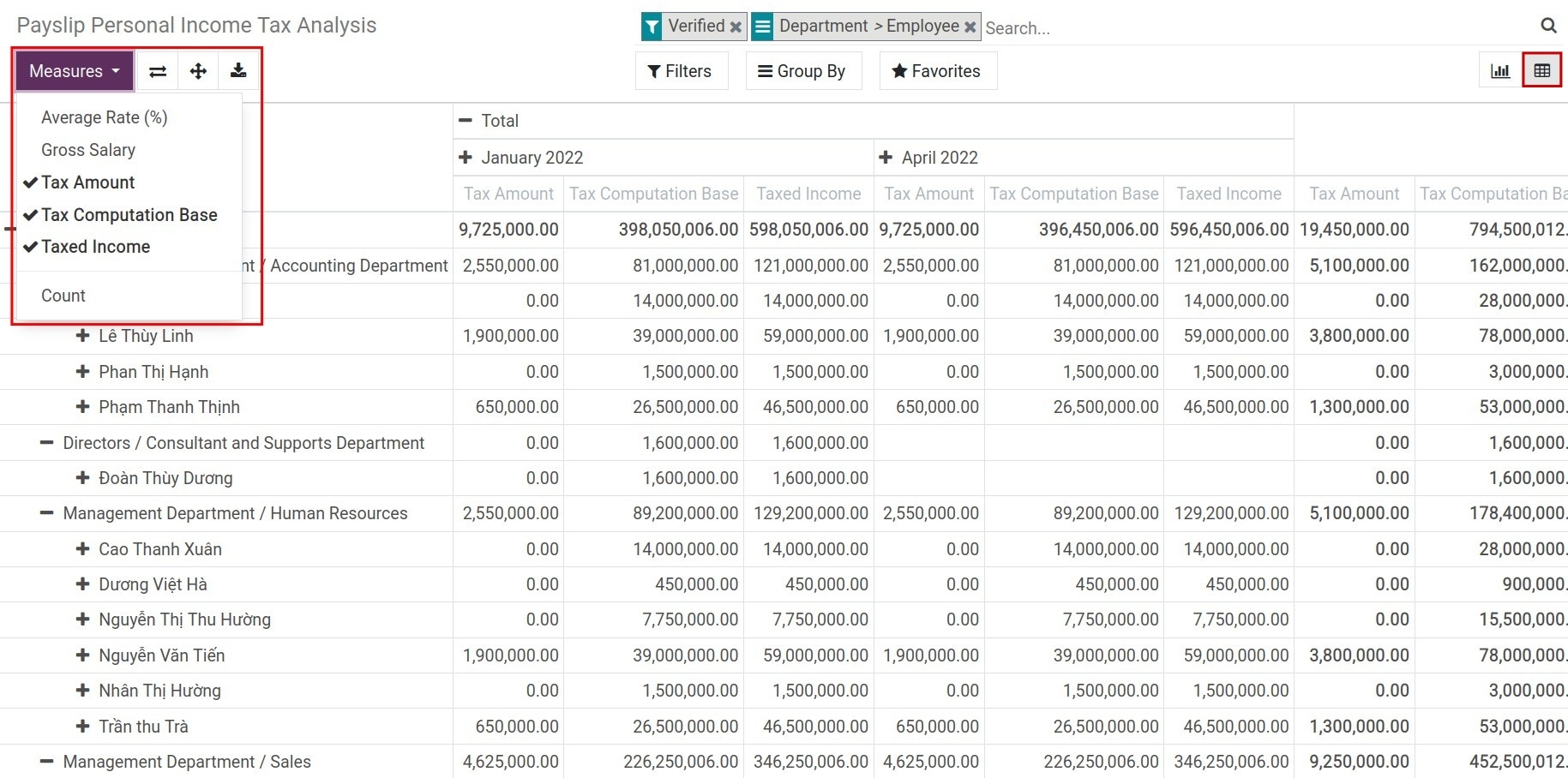 Viindoo personal income tax analysis in pivot view