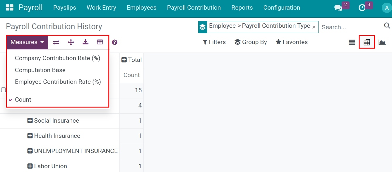 Payroll contribution history in pivot view - Viindoo Payroll accounting app