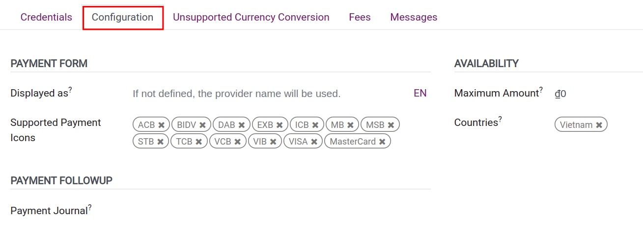 Payment service provider configuration tab  - Viindoo Accounting