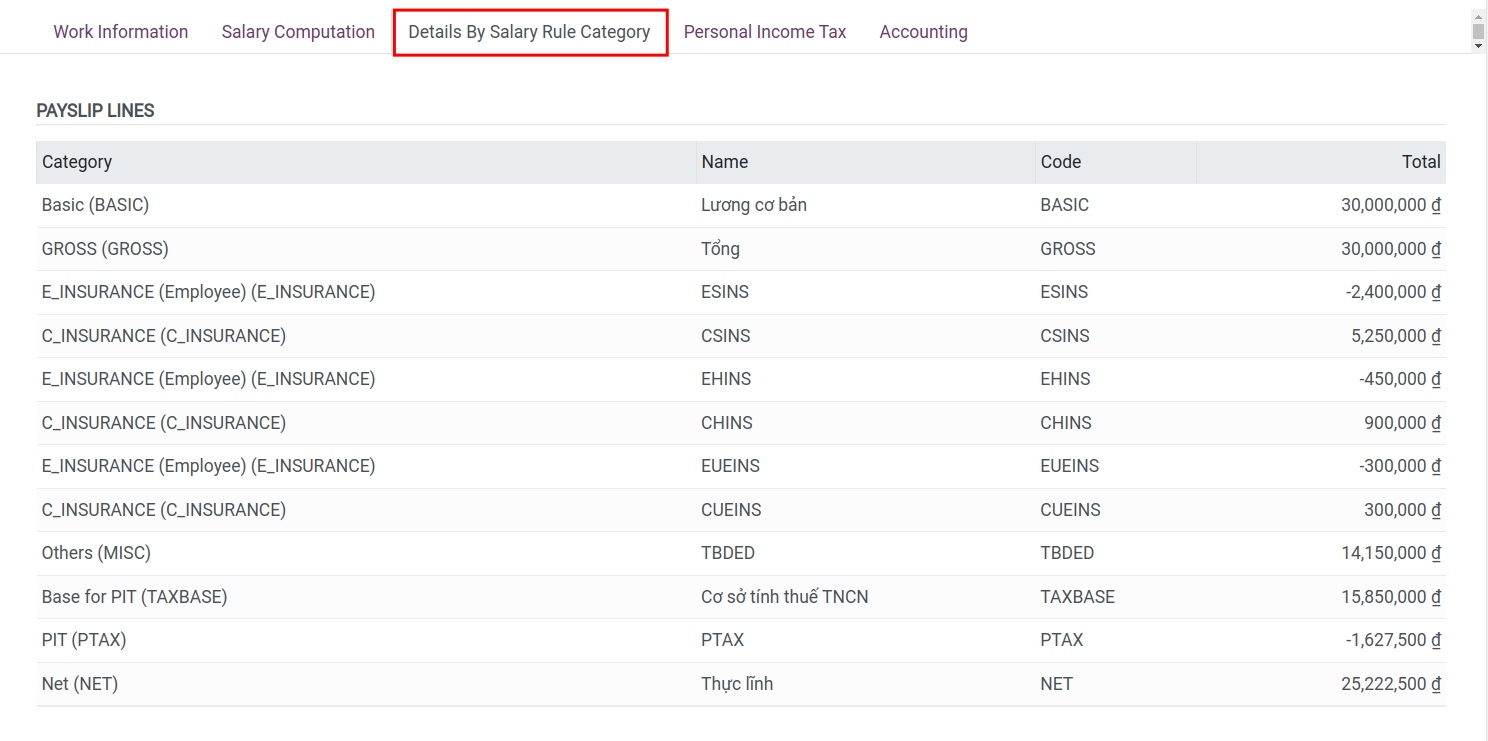 Details By Salary Rule Category tab in Viindoo payslip