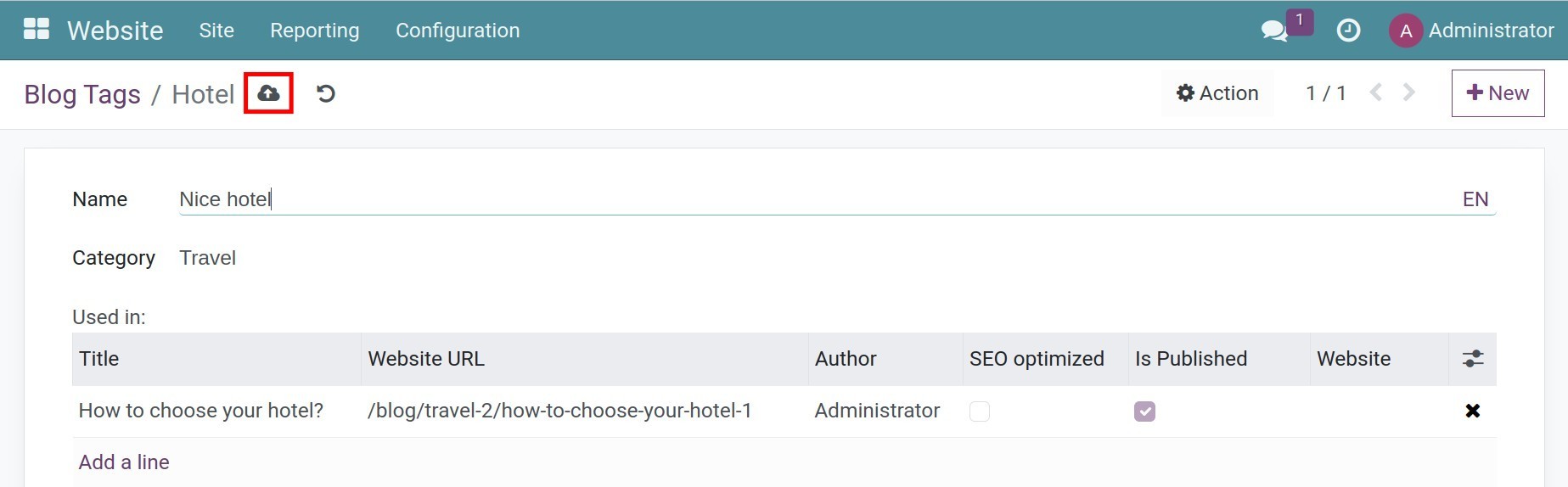 create tags in Viindoo