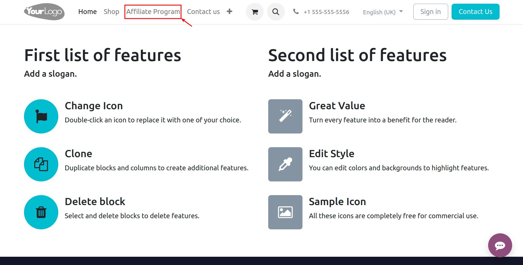 Access the Affiliate Program on the website