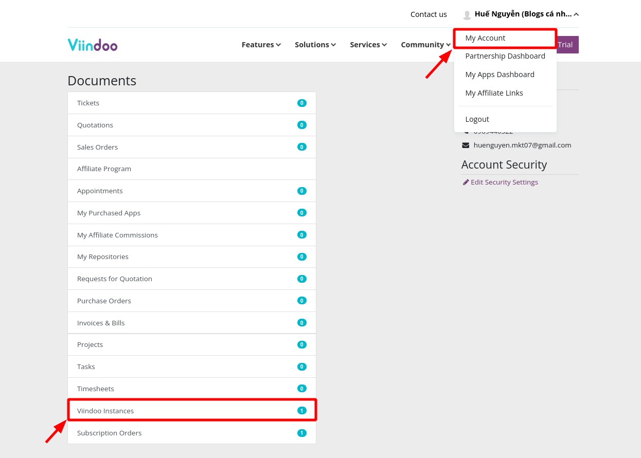 Navigato to Viindoo Instance interface