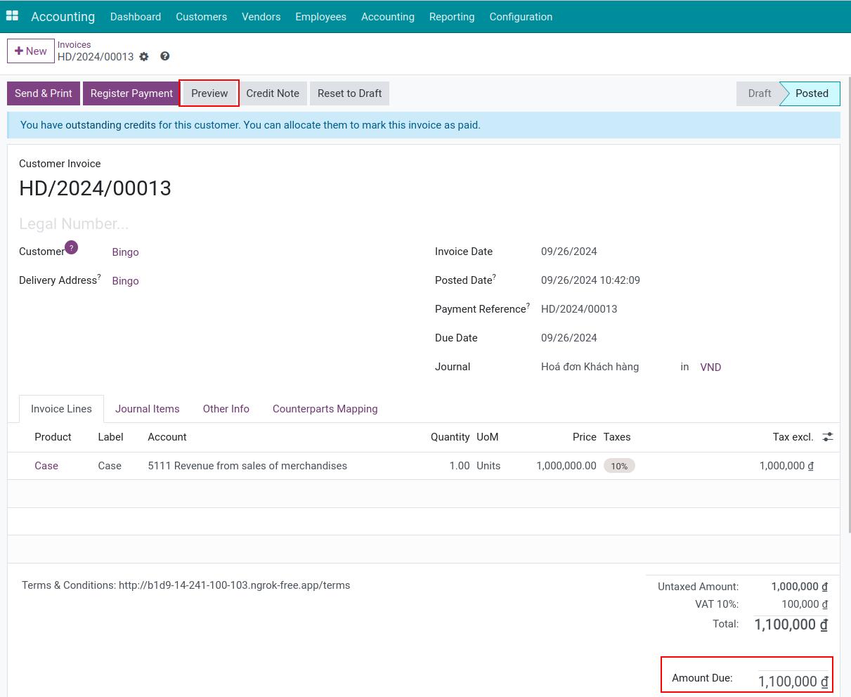 Preview an online invoice - Viindoo Accounting software
