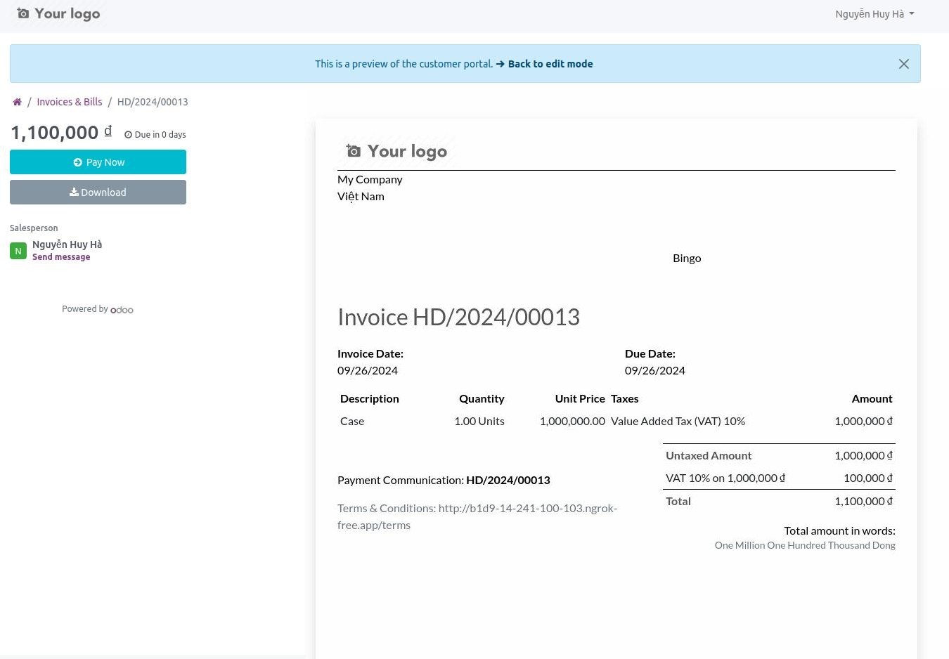 Online invoice interface - Viindoo Accounting software