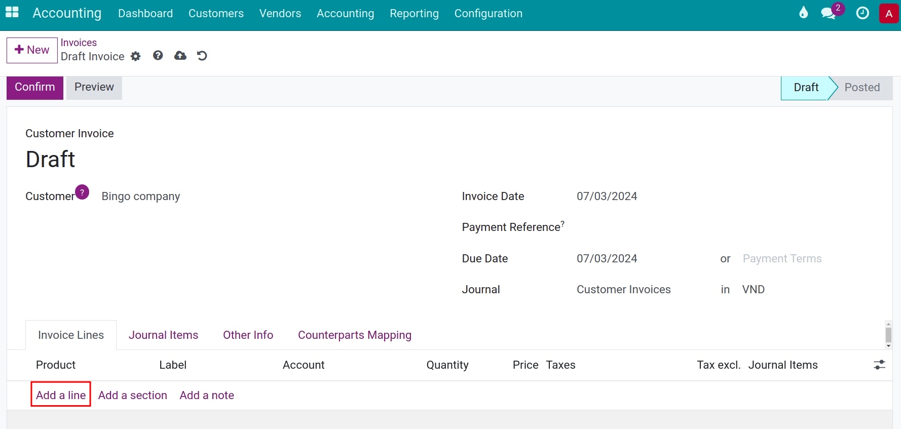 Invoice info - Viindo accounting software