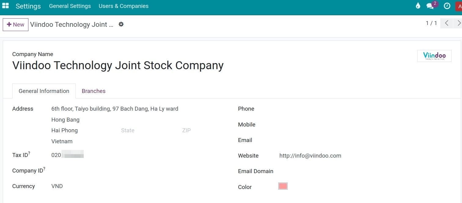 company information Viindoo