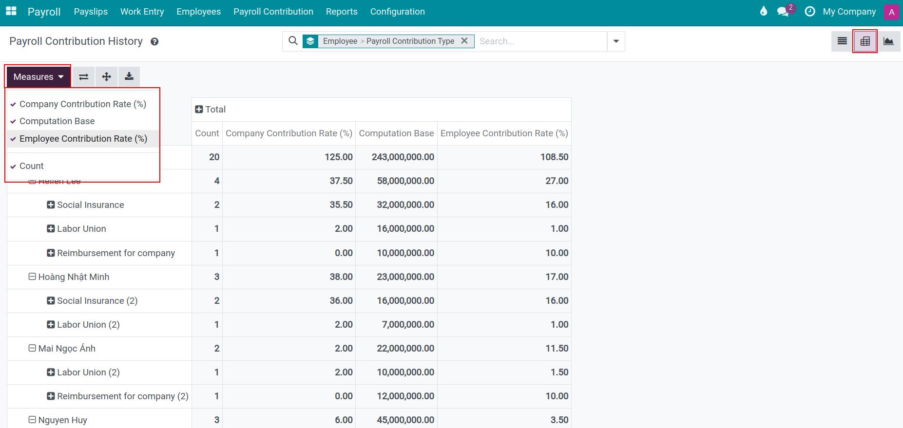 Payroll contribution history in pivot view - Viindoo Payroll accounting app