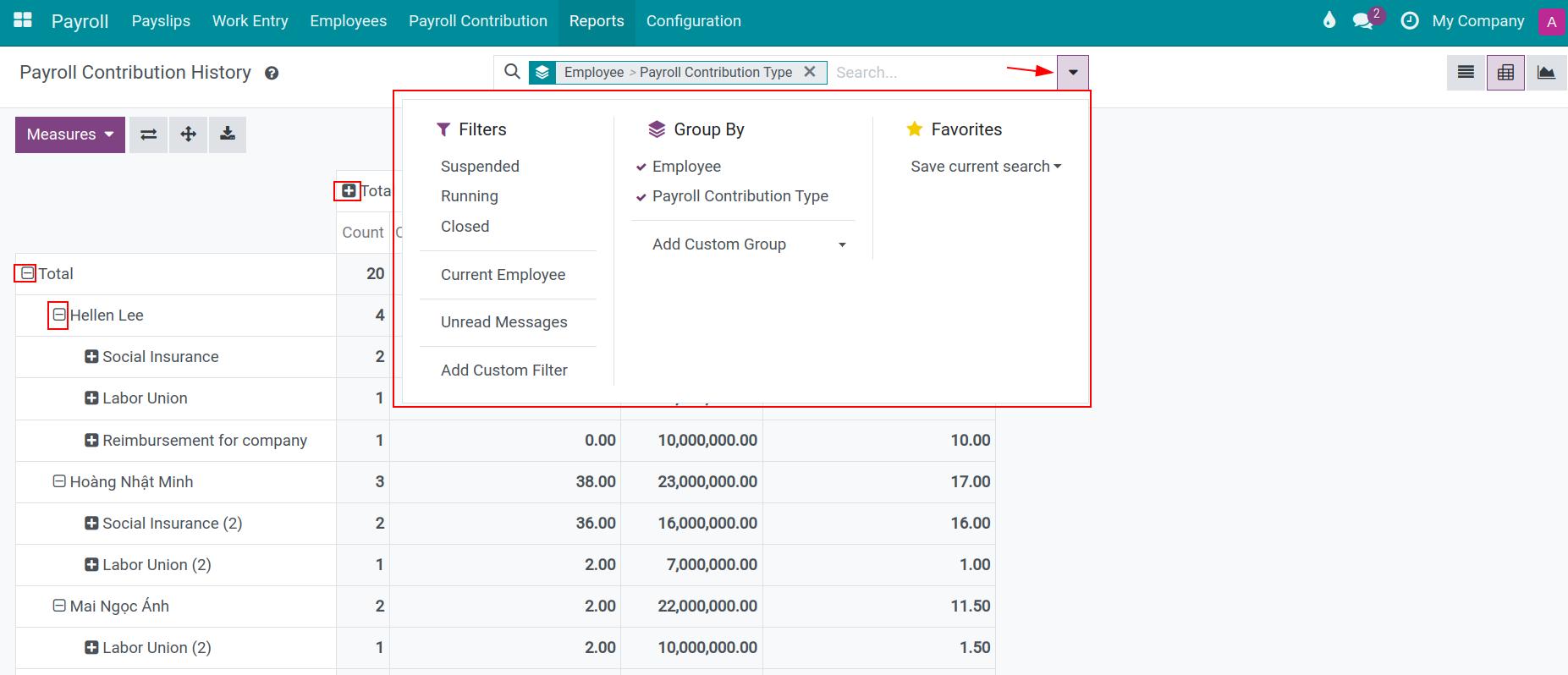 Payroll contribution history in pivot view - Viindoo Payroll accounting app