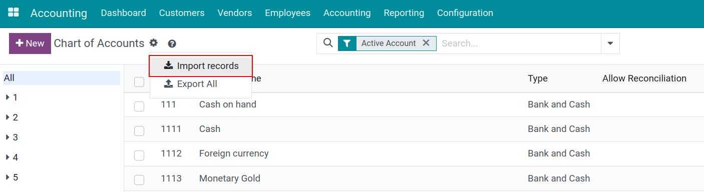 Import accounting data in bulk Viindoo