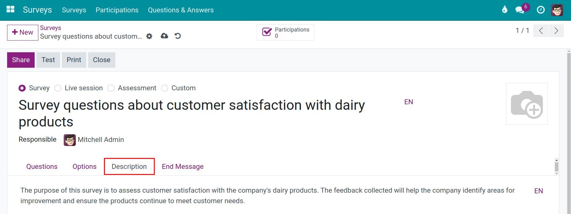 Create surveys description
