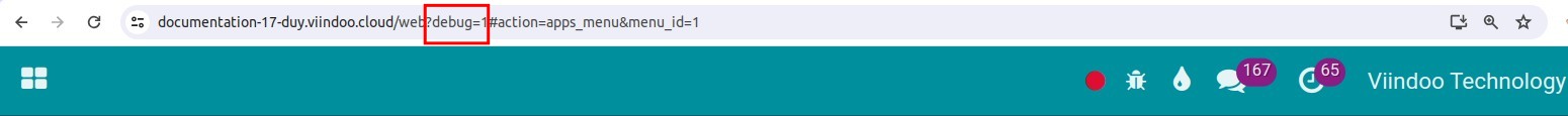Enable Viindoo developer mode via URL