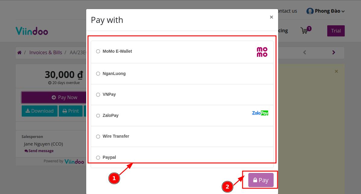 choose online payment method for the outstanding balance
