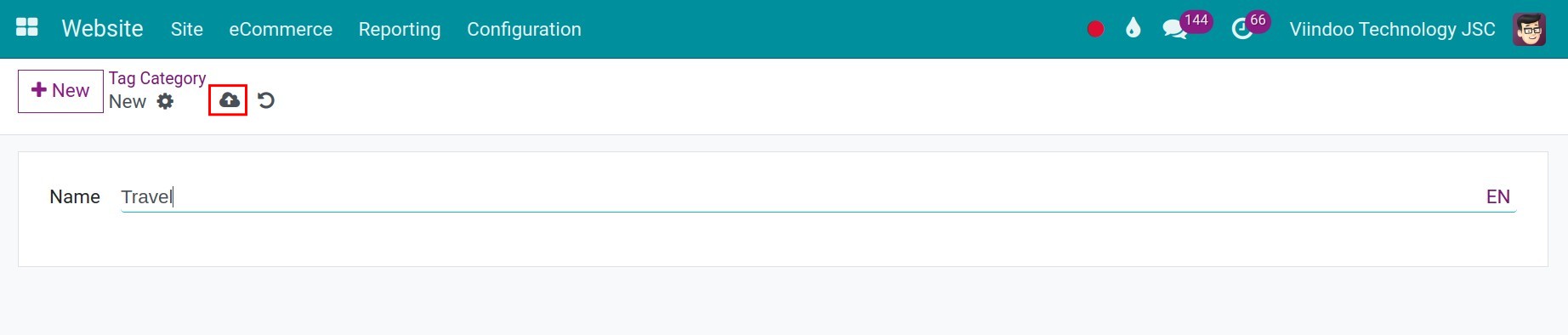 tag categories in Viindoo