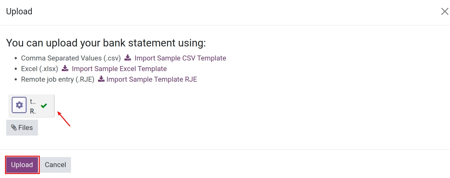 Uploaded bank statement file