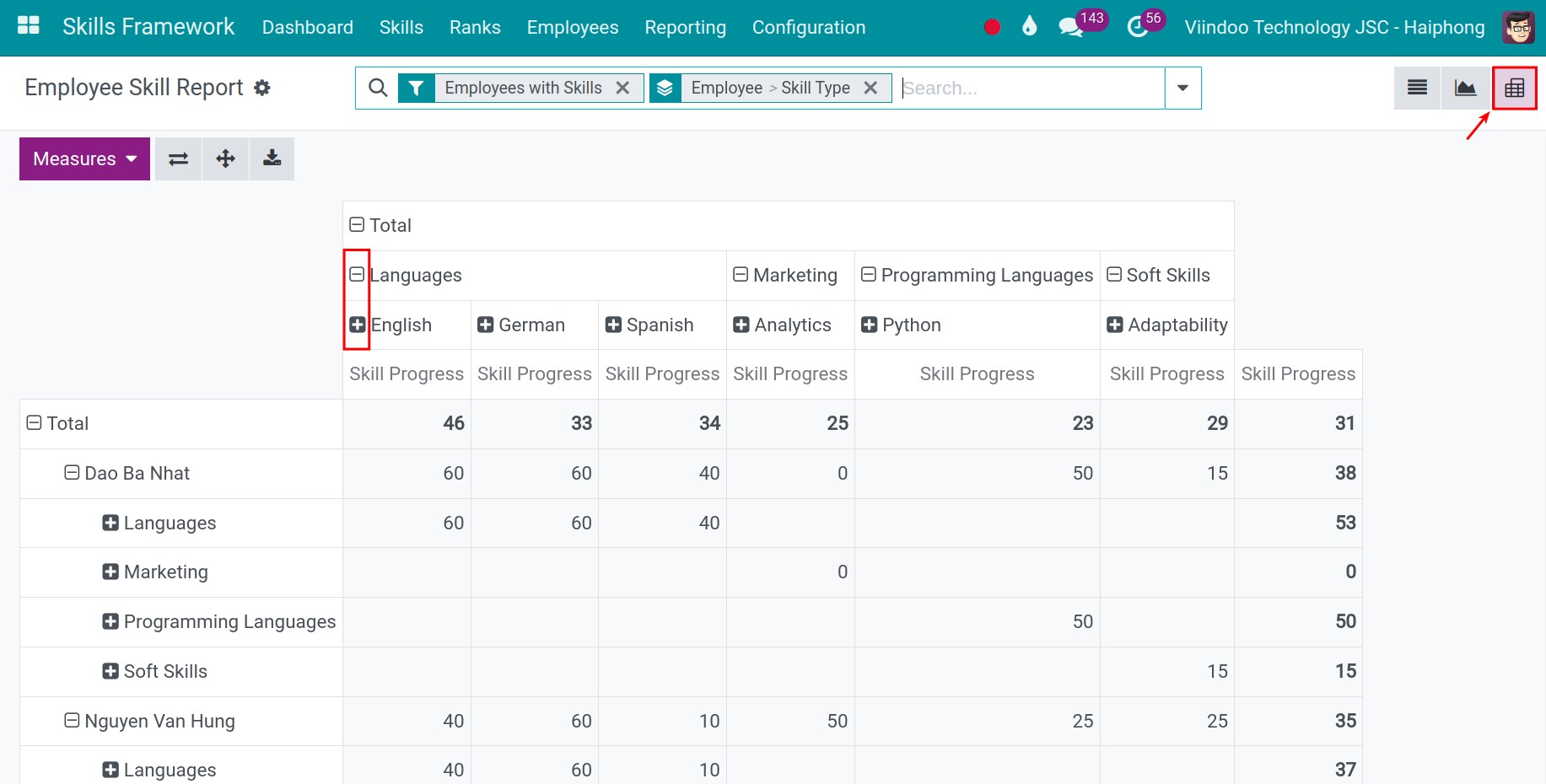 Pivot employee skills report in Viindoo