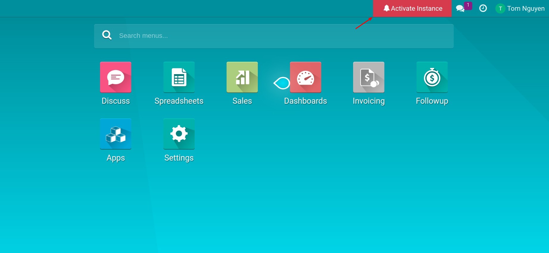 Viindoo Trial Instance interface
