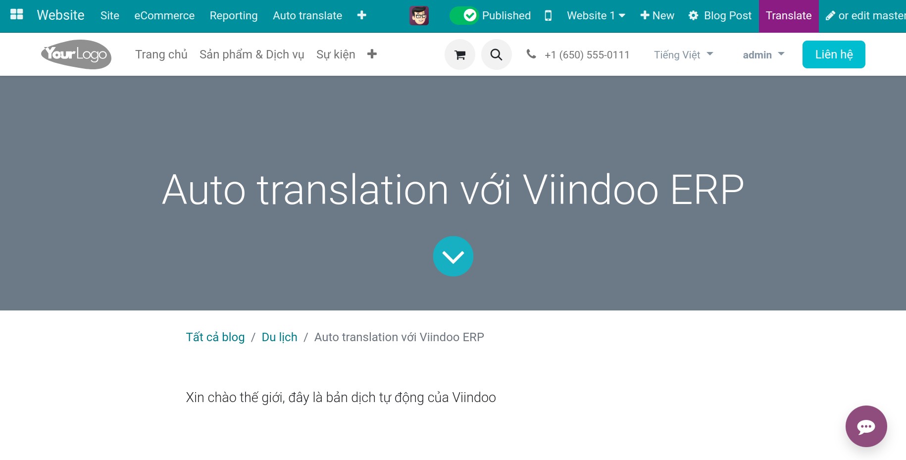 Translate with Glossary