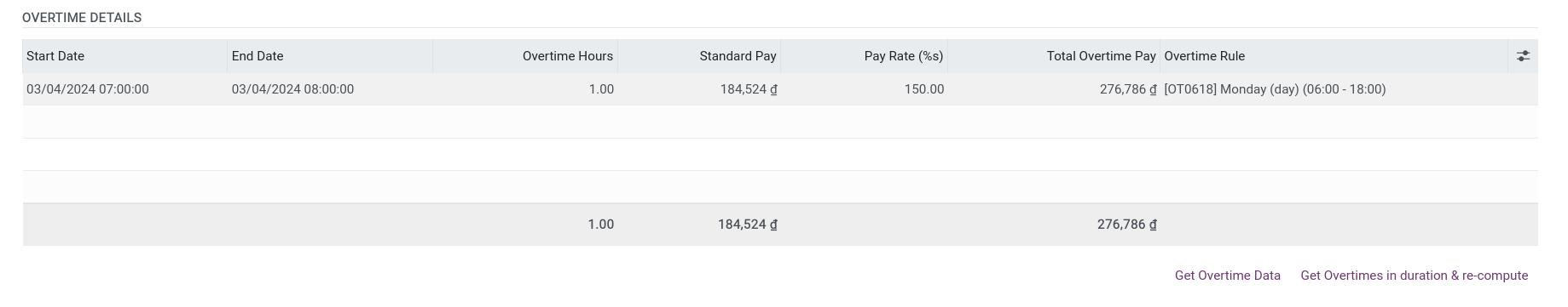 Details in Worked Days & Contributions Inputs tab