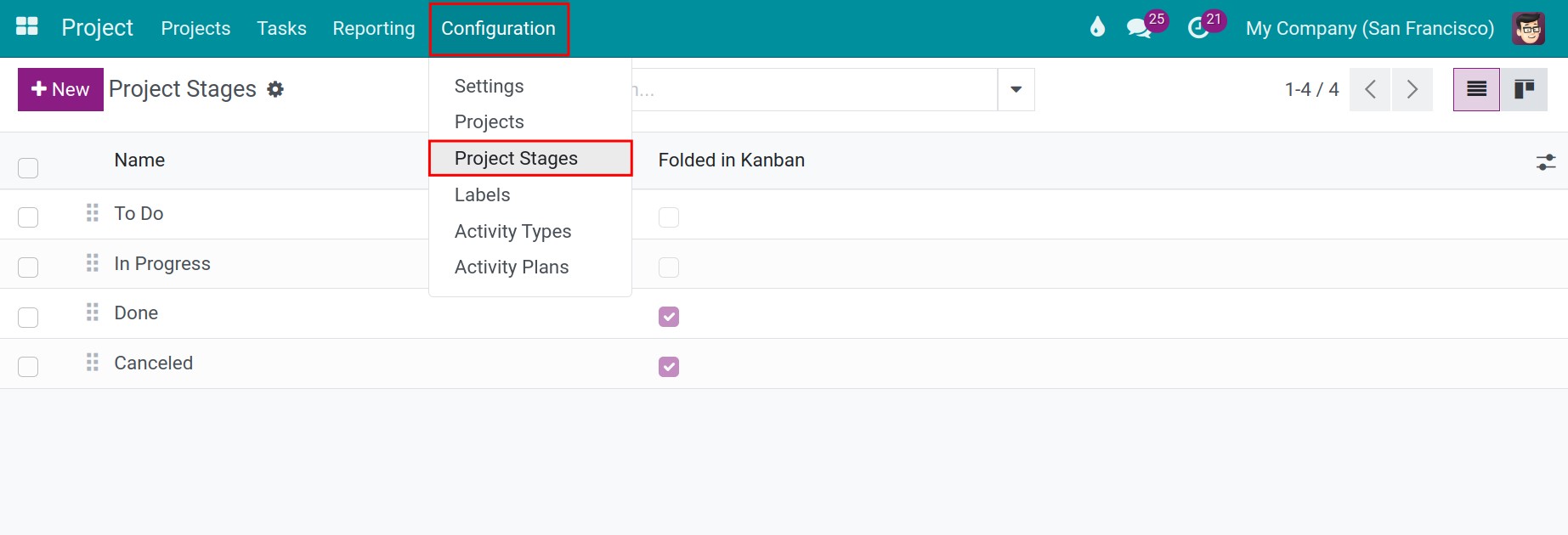 Project Information configuration Viindoo