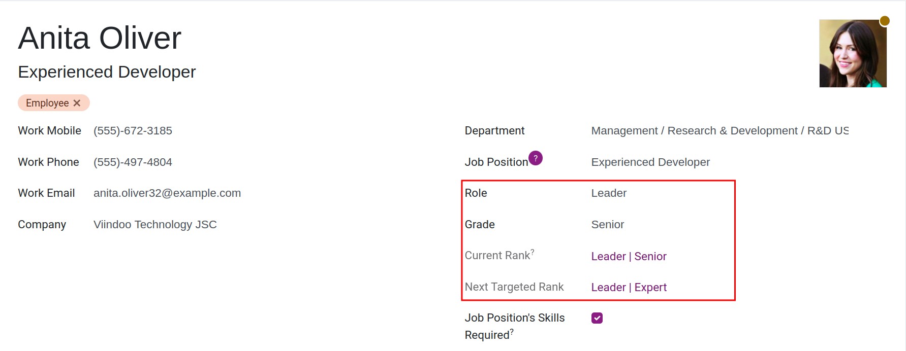 Apply skills framework by rank