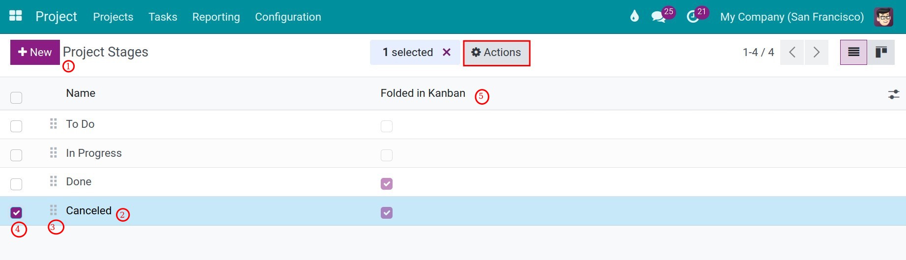 Project Information configuration Viindoo