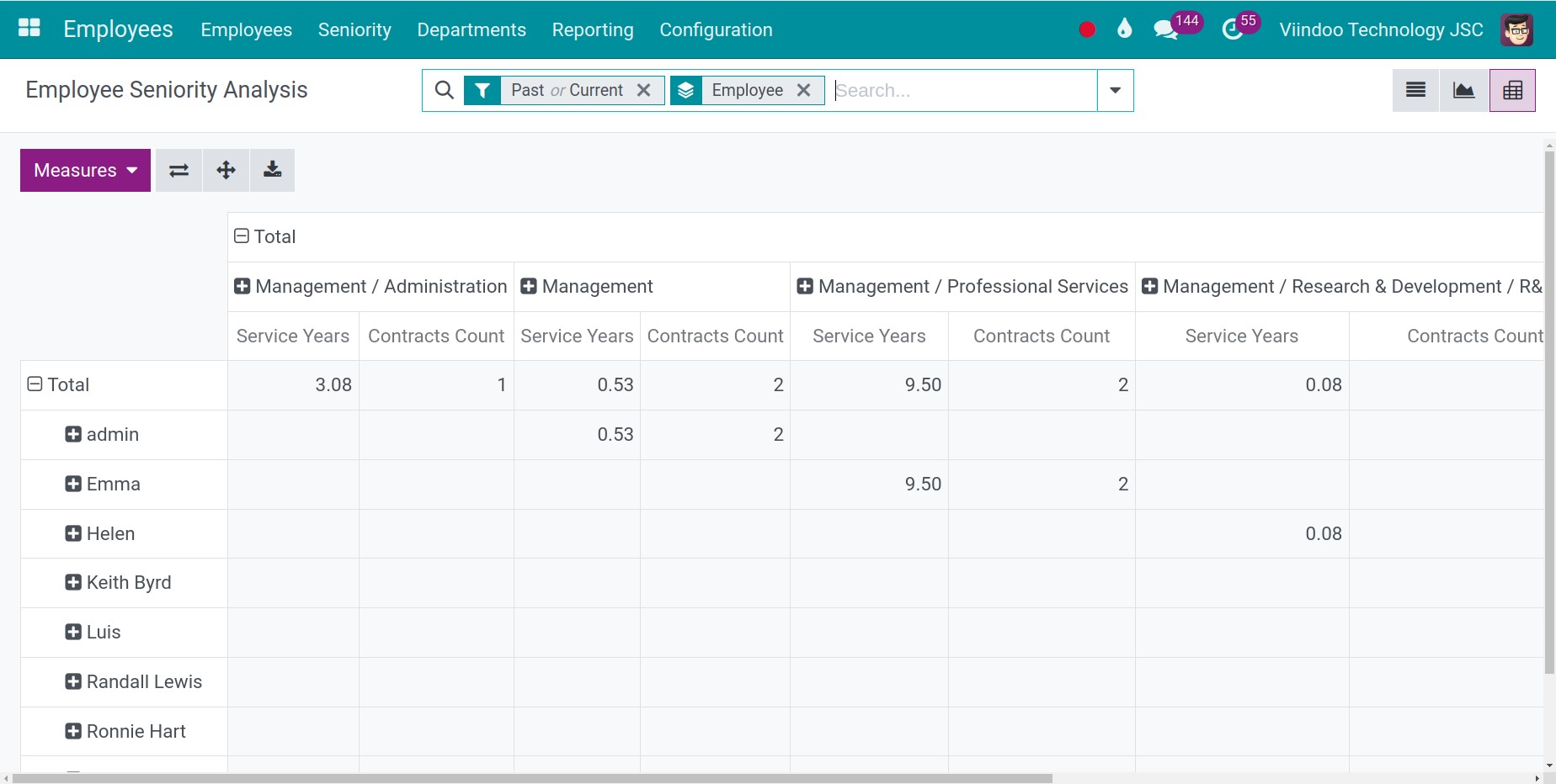 Viindoo seniority pivot report