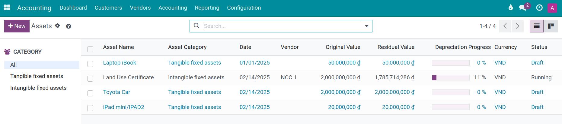 Assets list in Viindoo