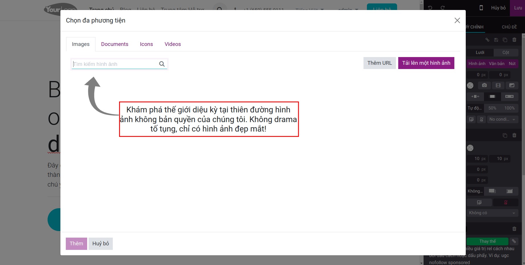 Tìm kiếm hình ảnh trong ứng dụng Website