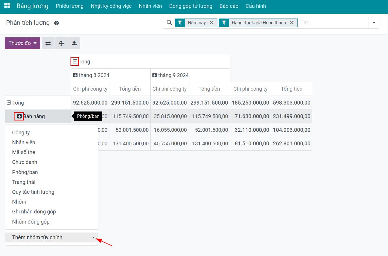Lồng ghép tiêu chí báo cáo - Phần mềm quản lý tiền lương Viindoo