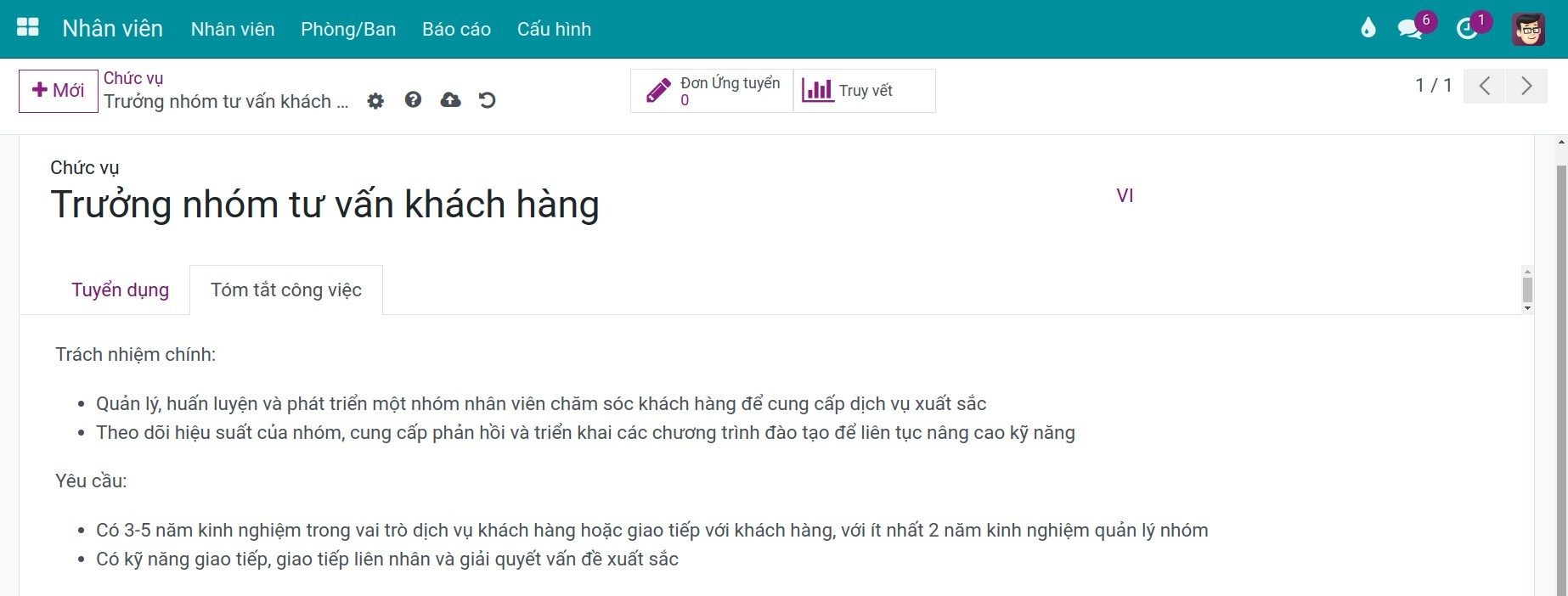 Tab mô tả công việc Viindoo