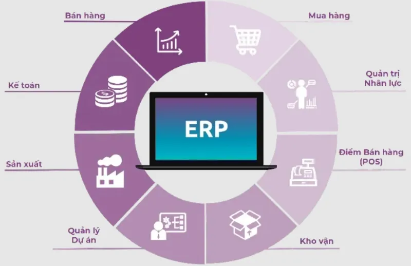Viindoo ERP software