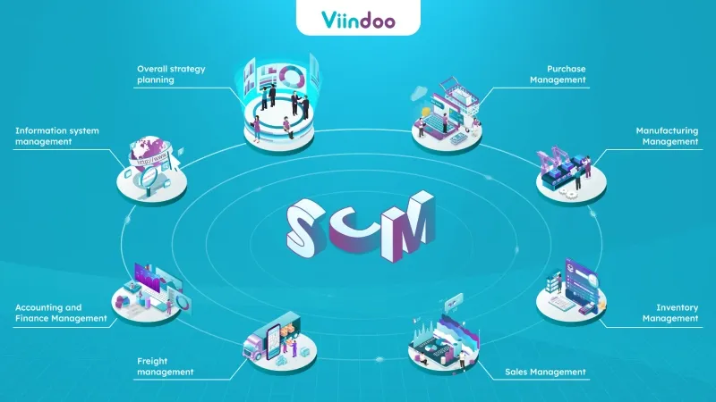 viindoo scm software