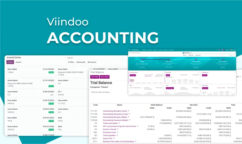 Phần mềm kế toán dự án Viindoo