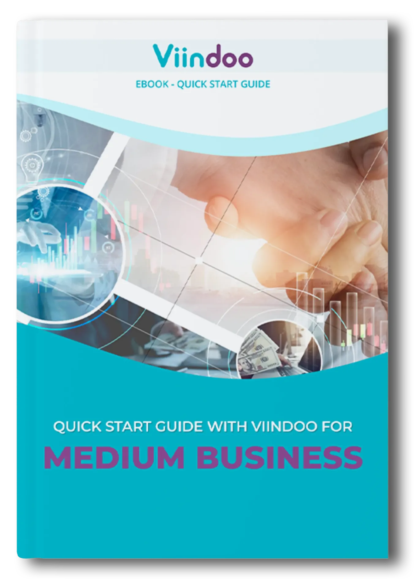 Ebook Quick Start Guide for Medium Business