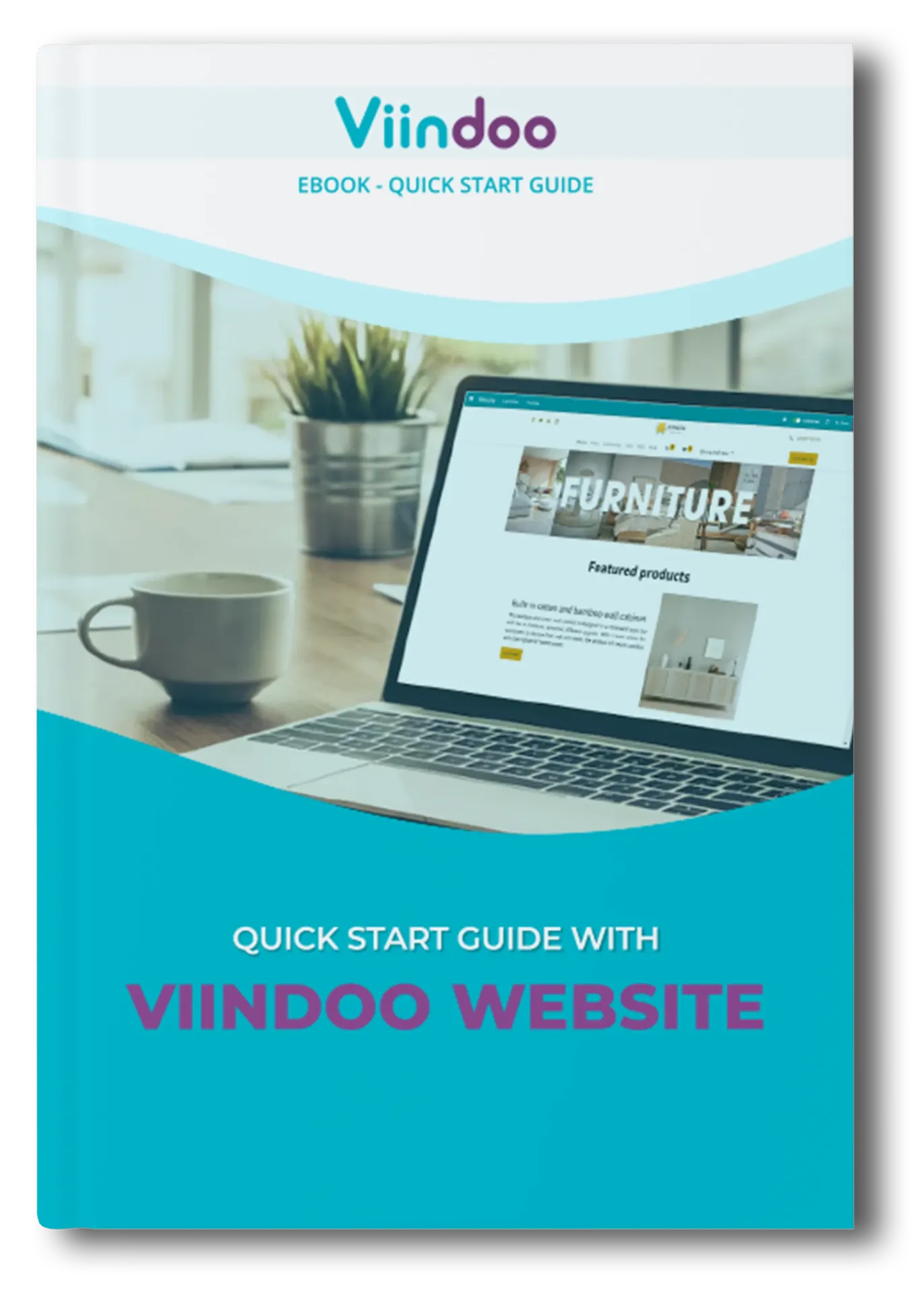 Quick Start Guide with Viindoo Website